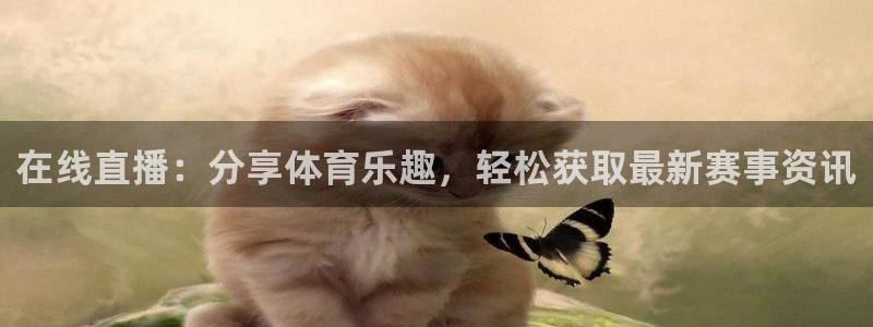 松鼠体育