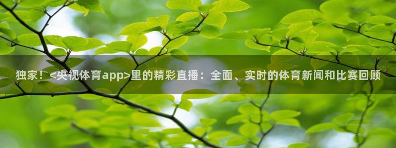 松鼠看球直播