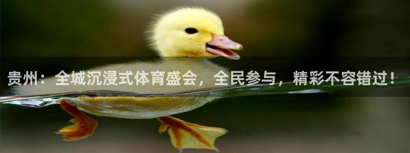 松鼠客户端