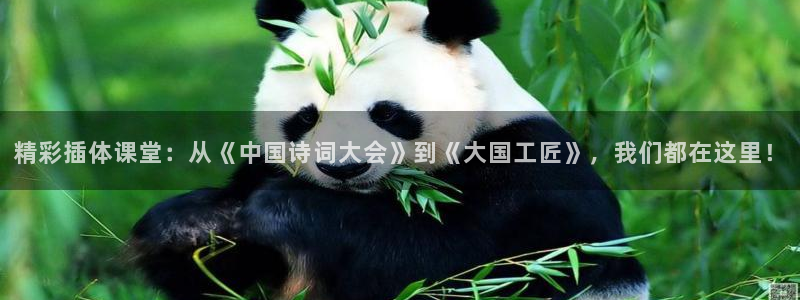 松鼠网官方下载：精彩插体课堂：从《中国诗词大会》到《大国工匠》，我们都在这里！