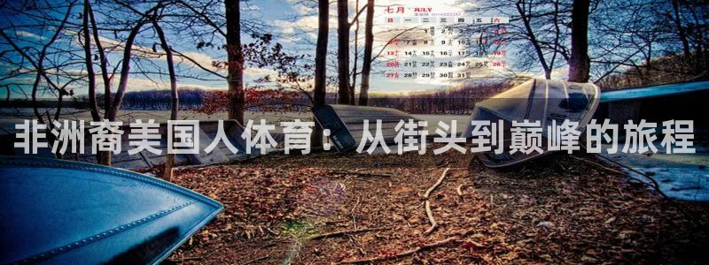 下载松鼠电视直播：非洲裔美国人体育：从街头到巅峰的旅程
