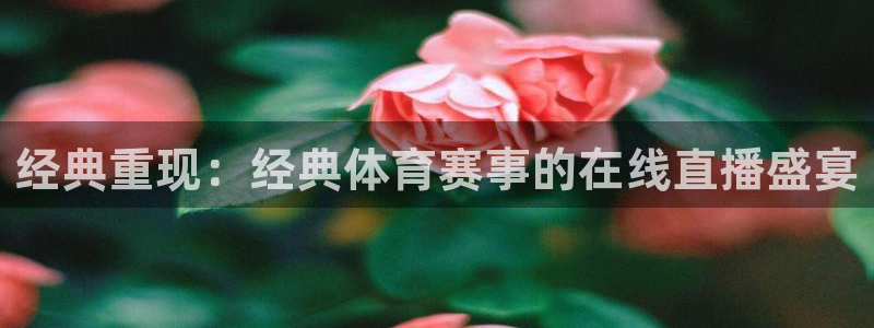 松鼠看球直播：经典重现：经典体育赛事的在线直播盛宴