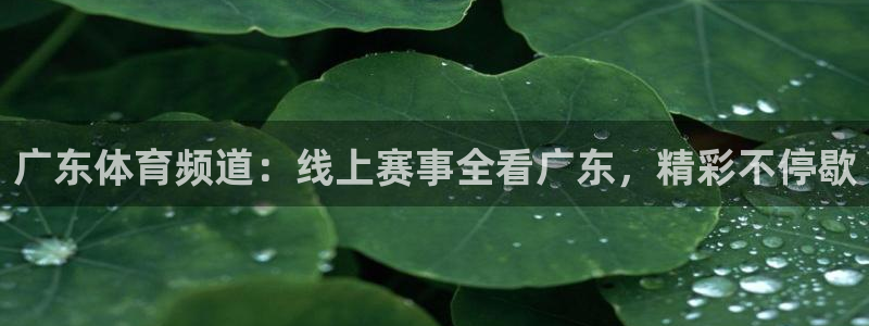 松鼠休闲游戏官网：广东体育频道：线上赛事全看广东，精彩不停歇