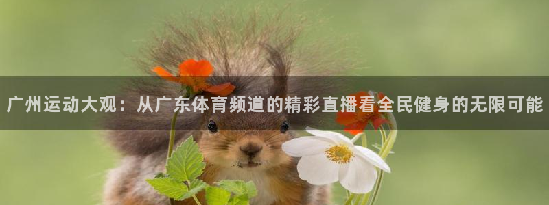 松鼠休闲游戏官网：广州运动大观：从广东体育频道的精彩直播看全民健身的无限可能