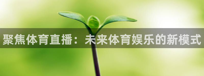松鼠体育：聚焦体育直播：未来体育娱乐的新模式